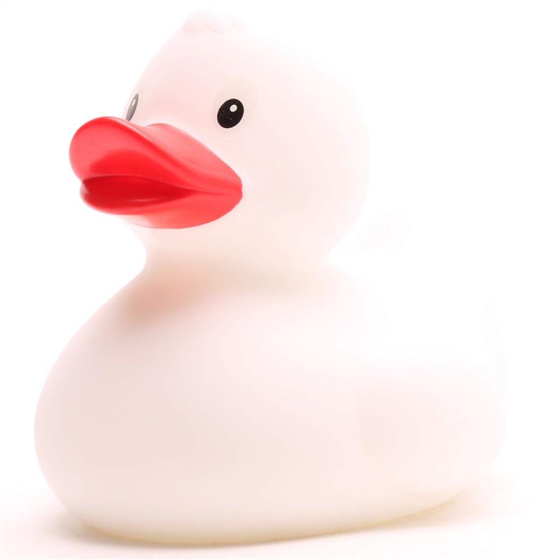 Canard de bain - Le Blanc